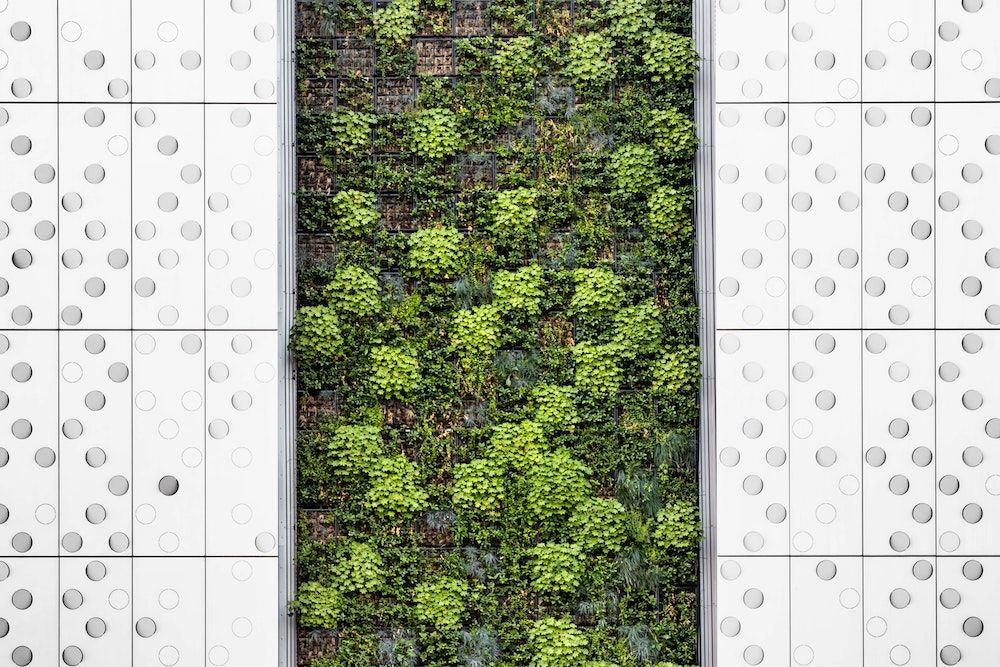 Image for A Greener Future for Crypto and Blockchain